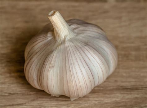 garlic deutsch|German translation of garlic